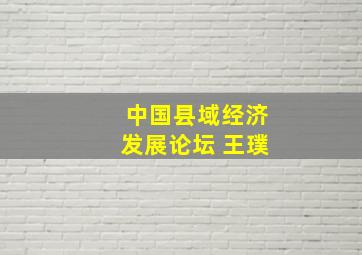 中国县域经济发展论坛 王璞